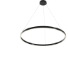 Подвесной светильник MAYTONI RIM MOD058PL-L54BK
